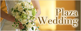 Plaza Wedding