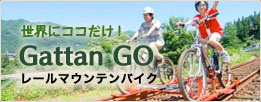 世界にココだけ!Gattan GOレールマウンテンバイク
