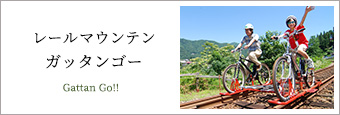 レールマウンテン ガッタンゴー