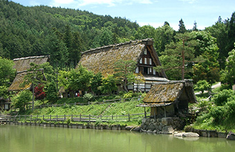 Hida Folk Village, Hida no Sato