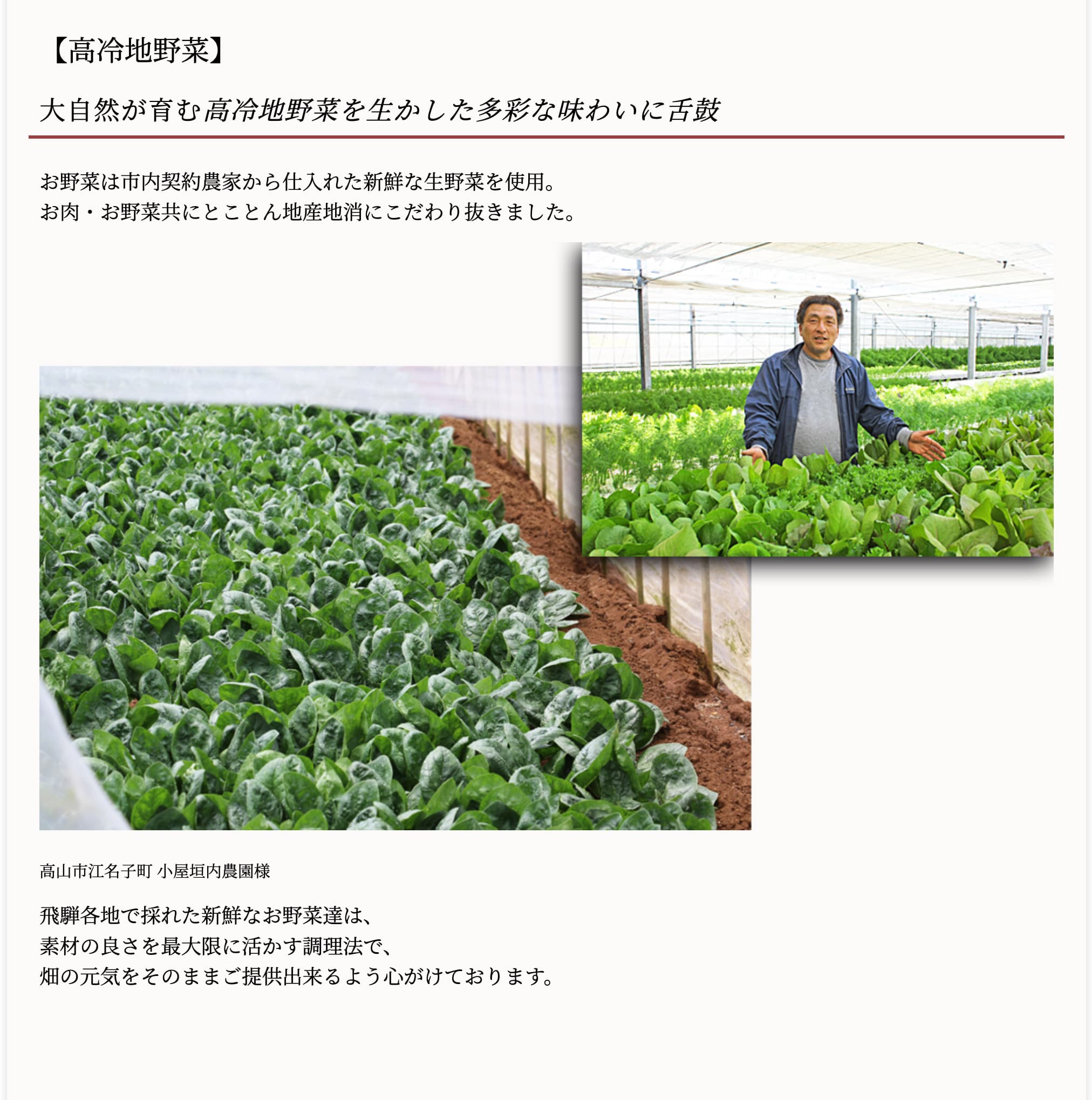 高冷地野菜