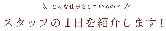 どんな仕事をしているの？スタッフの１日を紹介します！