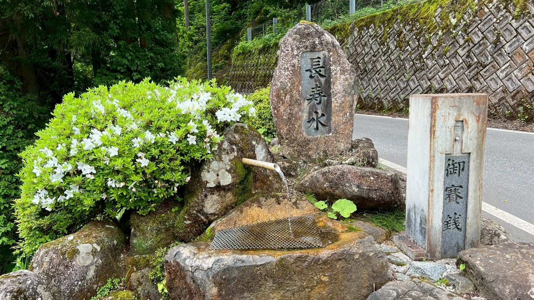 長寿水