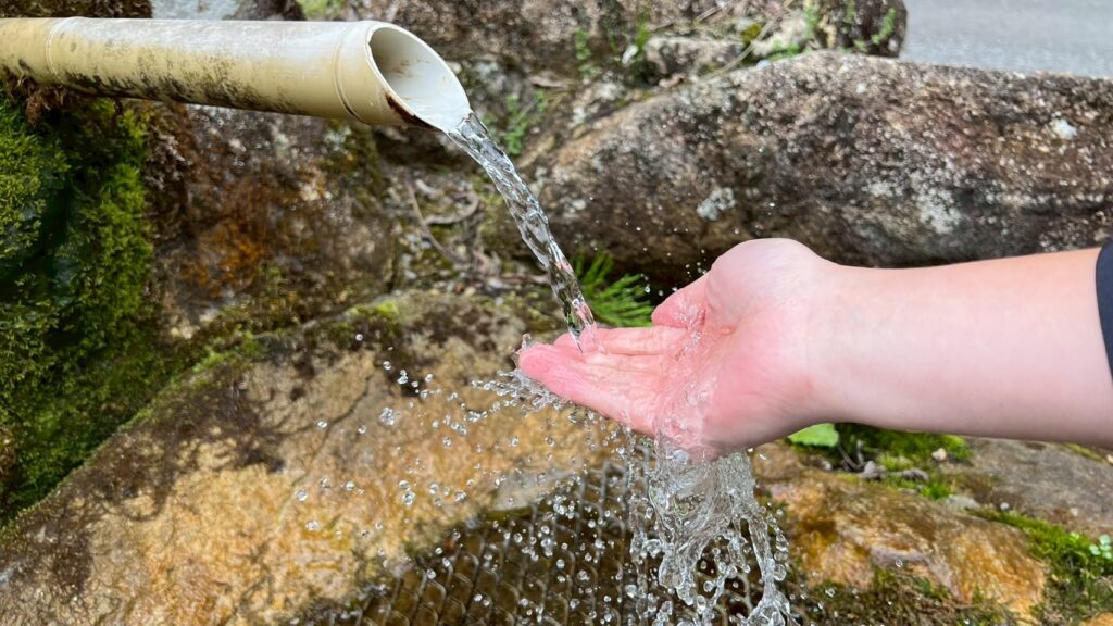 長寿水
