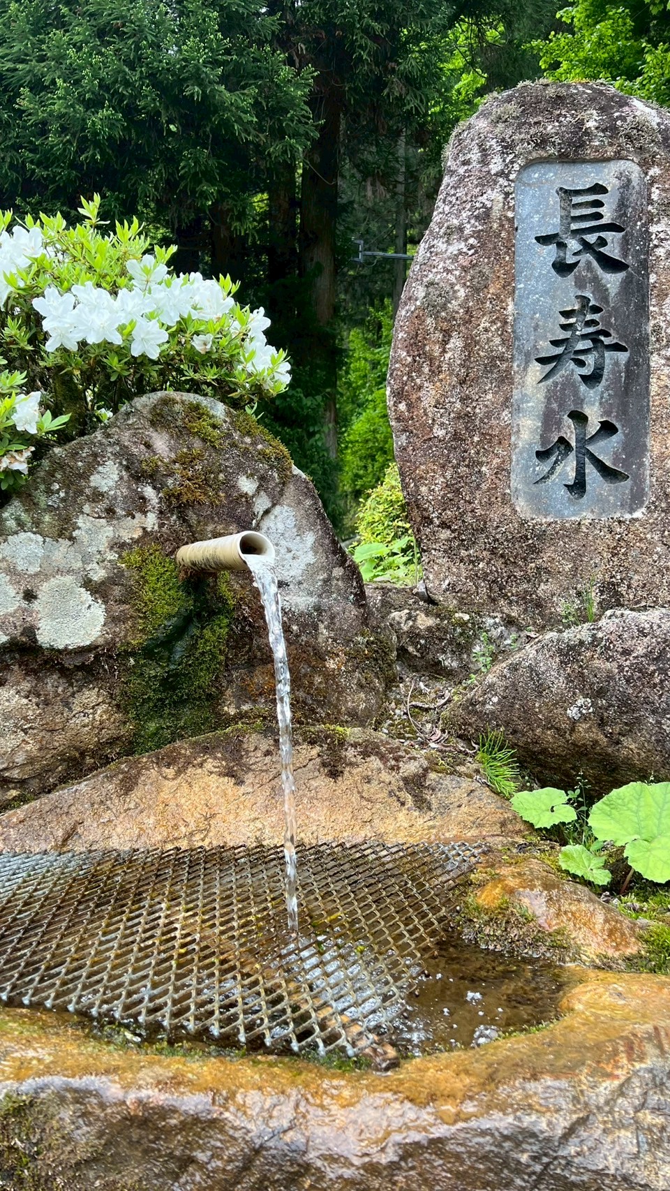 自然が磨いた、清らかな一杯