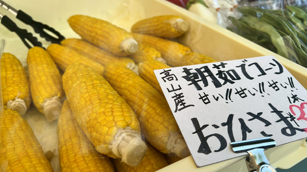 宮川朝市