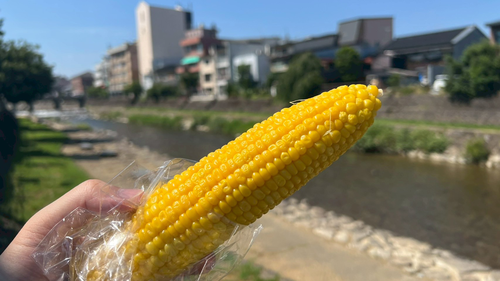 宮川朝市