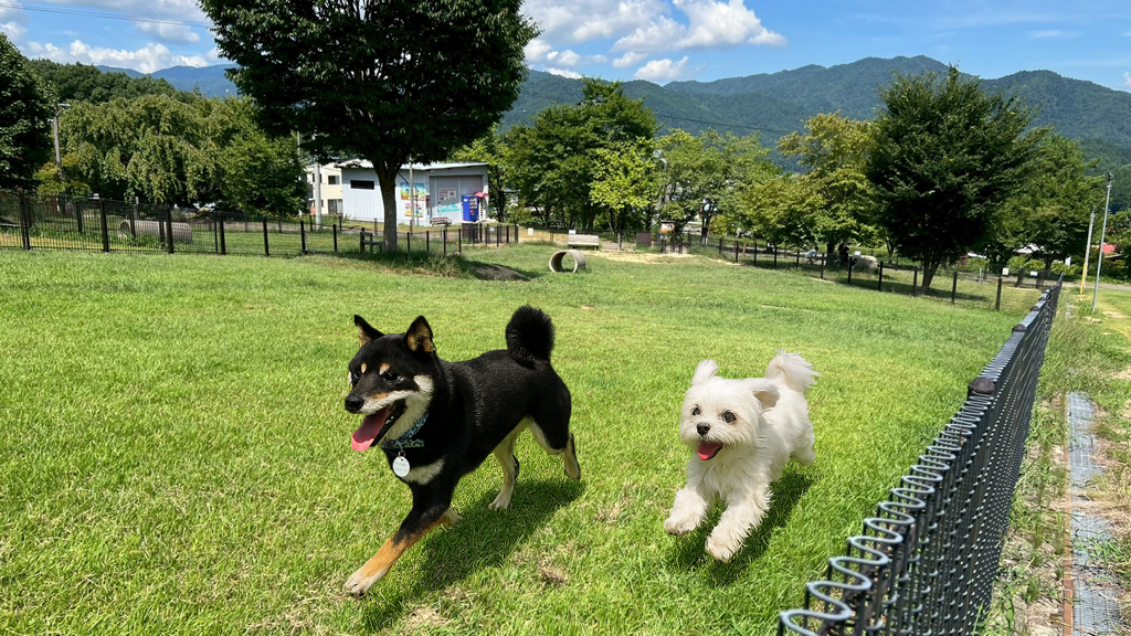 原山公園