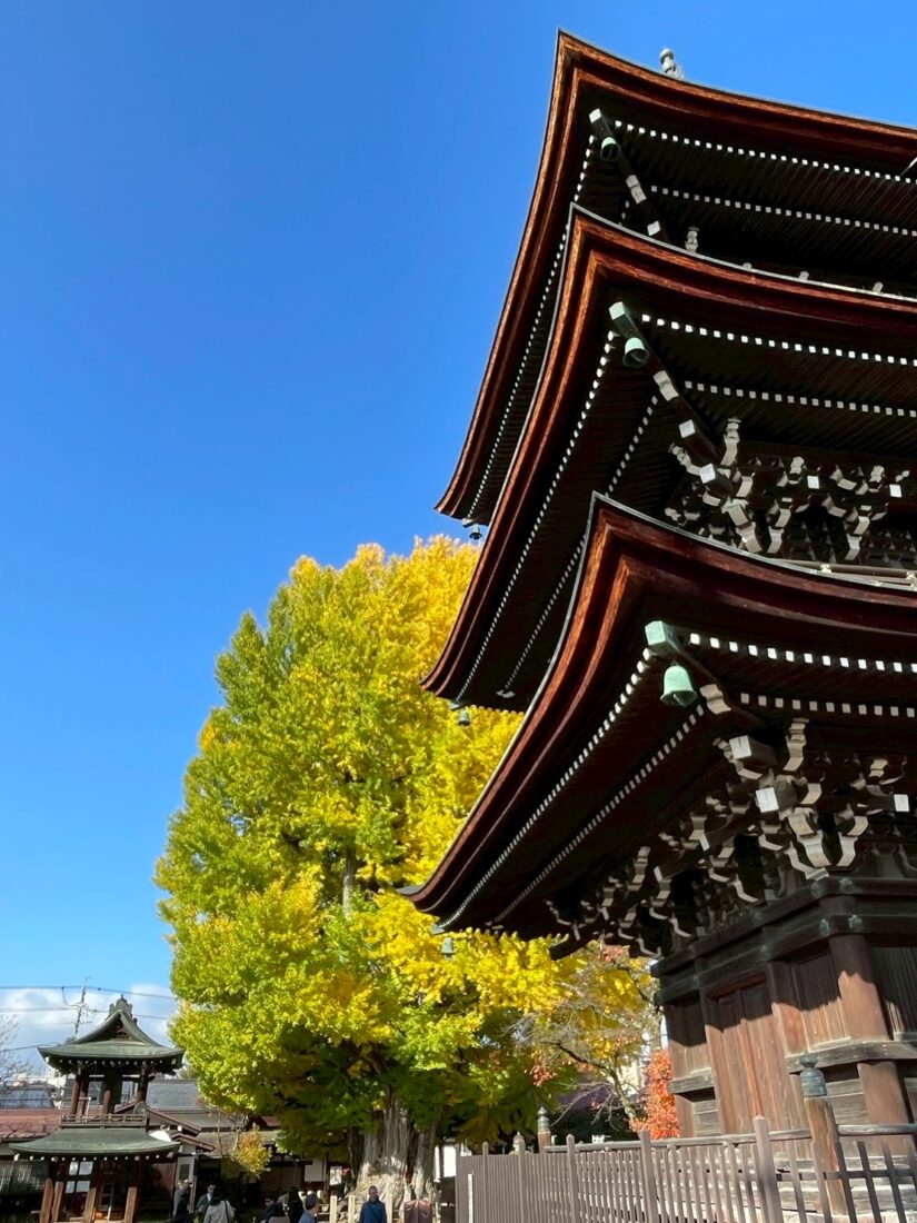 飛騨国分寺