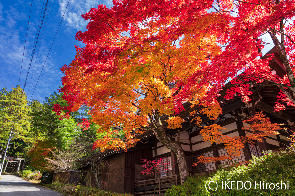 天照寺