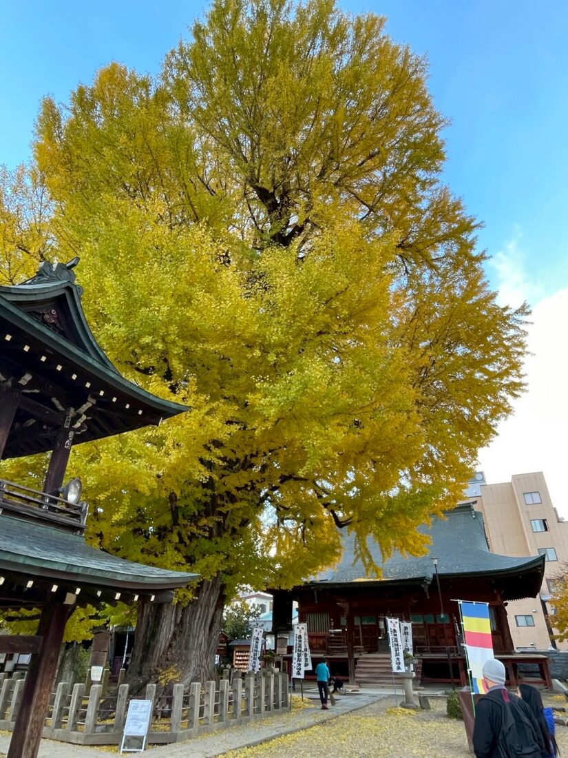 飛騨国分寺