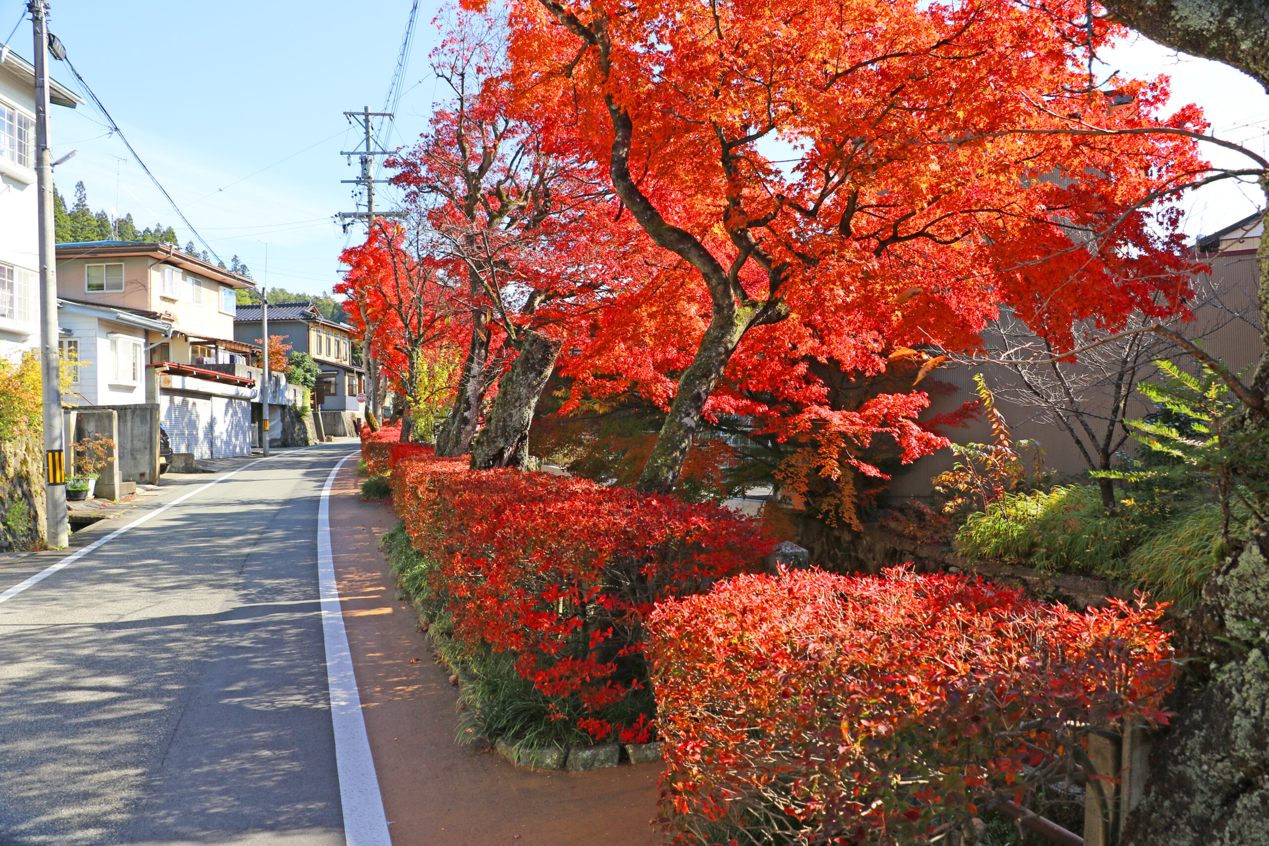 江名子川沿い東山遊歩道